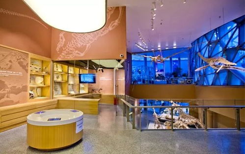 在上海自然博物馆探寻自然的答案